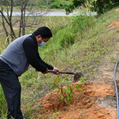 PROJEK MENANAM POKOK PANGKALAN UDARA SENDAYAN
